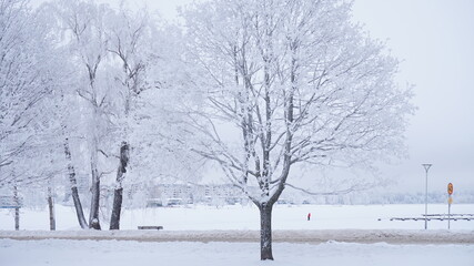 Fototapeta premium Beautiful landscape in snowy Swedish winter