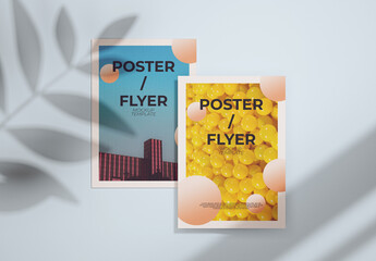 Two Flyer Mockup Template With Shadow