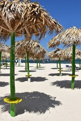 A Group of Palapa Umbrellas on a Tropical Beach