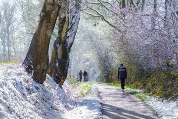 pedestrians on a footpath