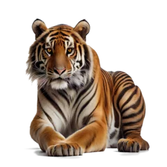 Zelfklevend Fotobehang tiger isolated on white background © I LOVE PNG