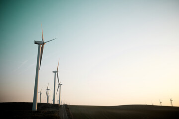 Obraz premium Wind turbine generators for renewable electricity production