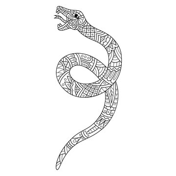 recommend clip art: Hand drawn of snake in zentangle style