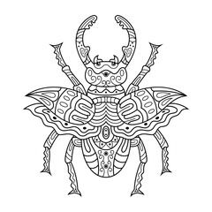 Hand drawn of Beetle in zentangle style