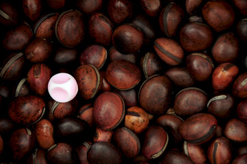 Background full of canavalia bonariensis seeds and a pink colored marble on them