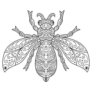 Hand drawn of bee in zentangle style