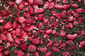 dried tea with mint and strawberries. Texture. dry herbal tea with peppermint, strawberry slices
