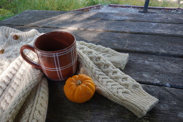 Cable Knit Sweater, Pumpkin and Mug