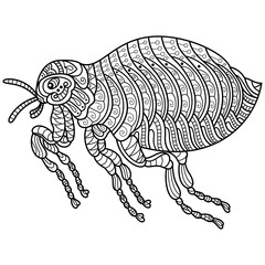Hand drawn of flea in zentangle style