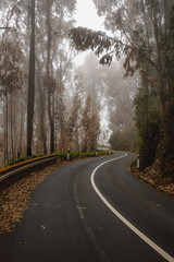 Fototapeta premium Mountain road bend in the cloudy fog.
