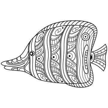 recommend clip art: Hand drawn of butterflyfish in zentangle style