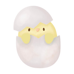 Watercolor baby chicken in egg
