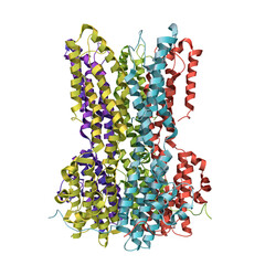 Molecular model of Bestrophin-1 protein Best 1, 3D illustration. A protein responsible for regulating calcium signaling in cells