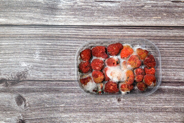 Moldy raspberries in a plastic basket on a wooden tabler. Food past its expiration date, spoiled...