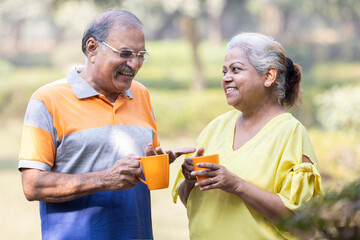 Happy indian senior couple enjoying life having fun at park