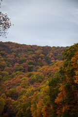 Fall foliage in the mountains of Ohiopyle State Park, Pennsylvania