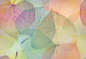 Seamless pattern, colorful skeleton leaves. Vector illustration.