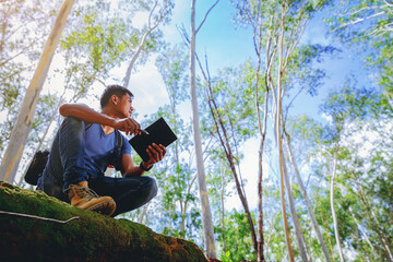 A man Biologist or botanist recording information about tropical plants in forest. The concept of...