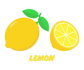 Lemon citrus fruit. Color vector illustration. Isolated on white background.