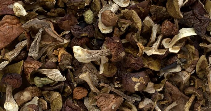 Dried edible forest mushrooms background texture. European cuisine ingredient. Table spin, seamless loop. 