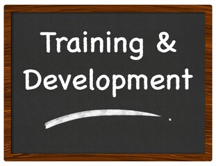 Obraz premium Training And Development Blackboard Chalk Text