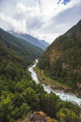 Fototapeta na wymiar Forest and Bhote-Khosi river, Nepal.