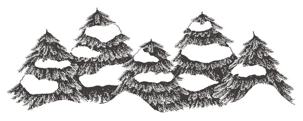 雪と針葉樹の手書きイラスト