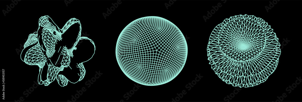 Fototapete Set of abstract vector spheres and blobs made of mesh. Parametric design and generative art elements.