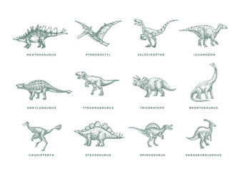 Prehistoric Dinosaurs Sketch Signs, Symbols or Illustrations Set. Hand Drawn Vector Ancient Reptiles Silhouettes Collection with T-rex, Raptor and others. Doodle Style Drawings Bundle Isolated