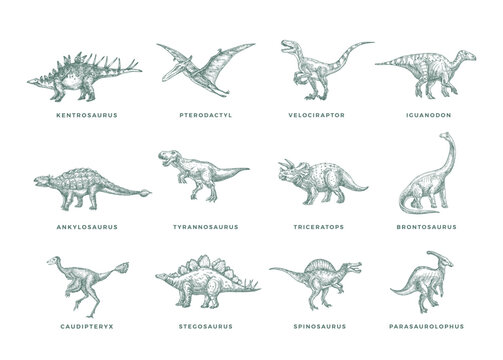 Prehistoric Dinosaurs Sketch Signs, Symbols or Illustrations Set. Hand Drawn Vector Ancient Reptiles Silhouettes Collection with T-rex, Raptor and others. Doodle Style Drawings Bundle Isolated