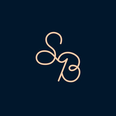 Simple Line Letter BS logo. Initial SB Abstract Alphabeth Logo. Modern, Elegant, Luxury