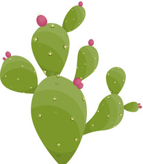 Cartoon desert cactus plant