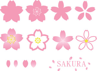 桜セット