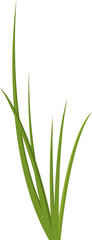 Cartoon grass leaves clip art