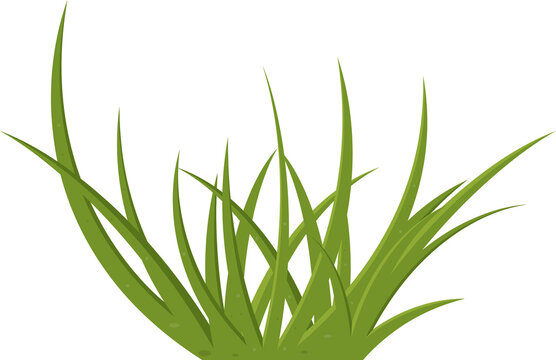 Cartoon grass leaves clip art