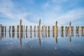 Holz Pfähle im See mit Spiegelung