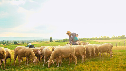 Caucasian male farmer feeding herd of sheep in field. Handsome man worker in meadow with livestock. Shepherd working in farm. Outdoors. Paddock of sheep. Eco pasture. Farming concept.