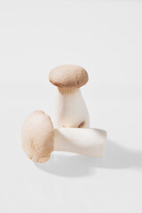 Fototapeta na wymiar mushrooms, oyster mushrooms, white background