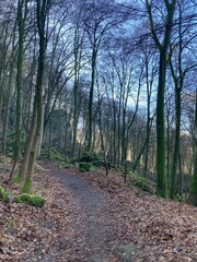 Obraz premium Promenade dans la petite suisse Luxembourgeois à Berdorf - mullerthal