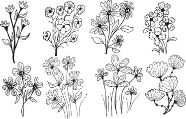 Big set of hand drawn floral vector , Floral sketch collection. Decorative elements for design.
