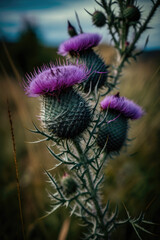 Scottish thistles in the wild, Generative AI, Generative ,AI