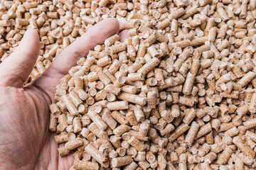 Woman hand full of wood pellets. Renewable energy