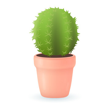 Green cactus in pink pot 3D illustration. Cartoon drawing of exotic plant with thorns in 3D style on white background. Nature, houseplants, decor, botany concept