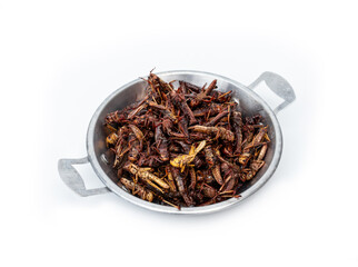 Deep fried grasshoppers is crispy snack street food high protein meal of Thailand serving in a small stainless steel pan isolated on white background.