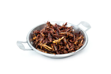 Deep fried grasshoppers is crispy snack street food high protein meal of Thailand serving in a small stainless steel pan isolated on white background.