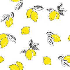 Vector seamless pattern with lemons isolated on white. Hand-drawn texture with fresh fruits. - 581480924