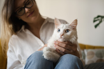Attractive young woman holding on knees her beautiful fluffy white cat at home, caressing, playing.Pet,animal care, love,friendship concept.International cat's day idea.Copy space.