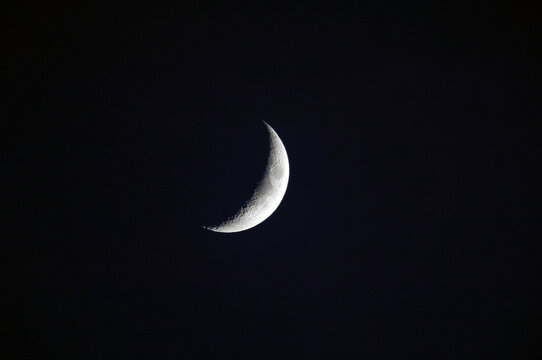 moon in the night