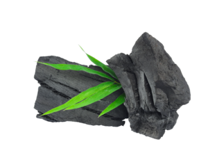Natural wood charcoal isolated on transparent png