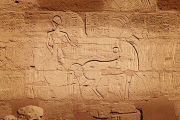 Ancient Egyptian hyroglyphs in the temple of Karnak, Egypt - 581484369